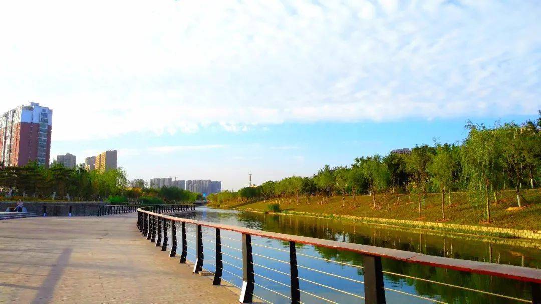菏泽环堤公园之湿地公园实拍