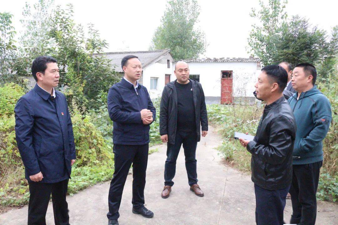 县长王景育到薛店,茨芭两镇督导调研农村乱占耕地建房问题整治摸排及