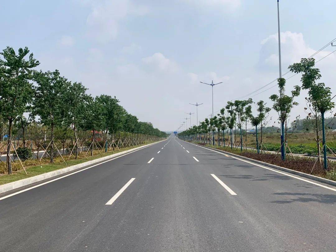 定远县城区六条道路全部建成即将通车!_手机搜狐网