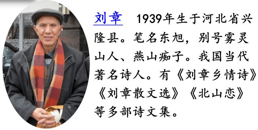 【五年级同步学】新学期学习规划,语文上册 5《搭石》知识汇总整理!