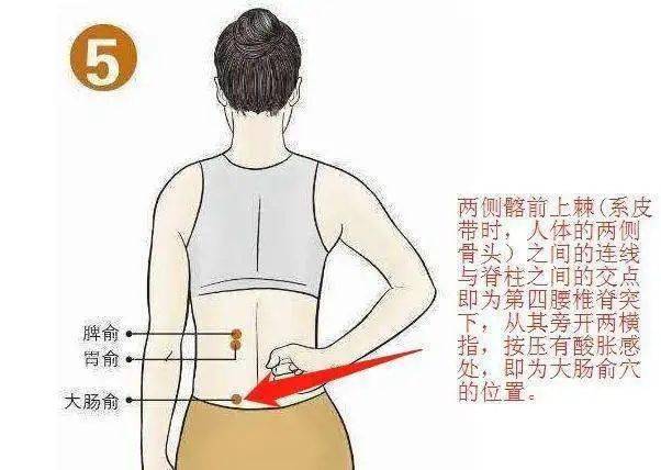 1,首先我们要找到这四个穴位的具体位置,大肠俞和小肠俞都在我们的