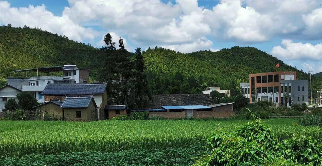 他来到新民村,就是为了把新民村从原来的贫困落后的农村,改造成现在