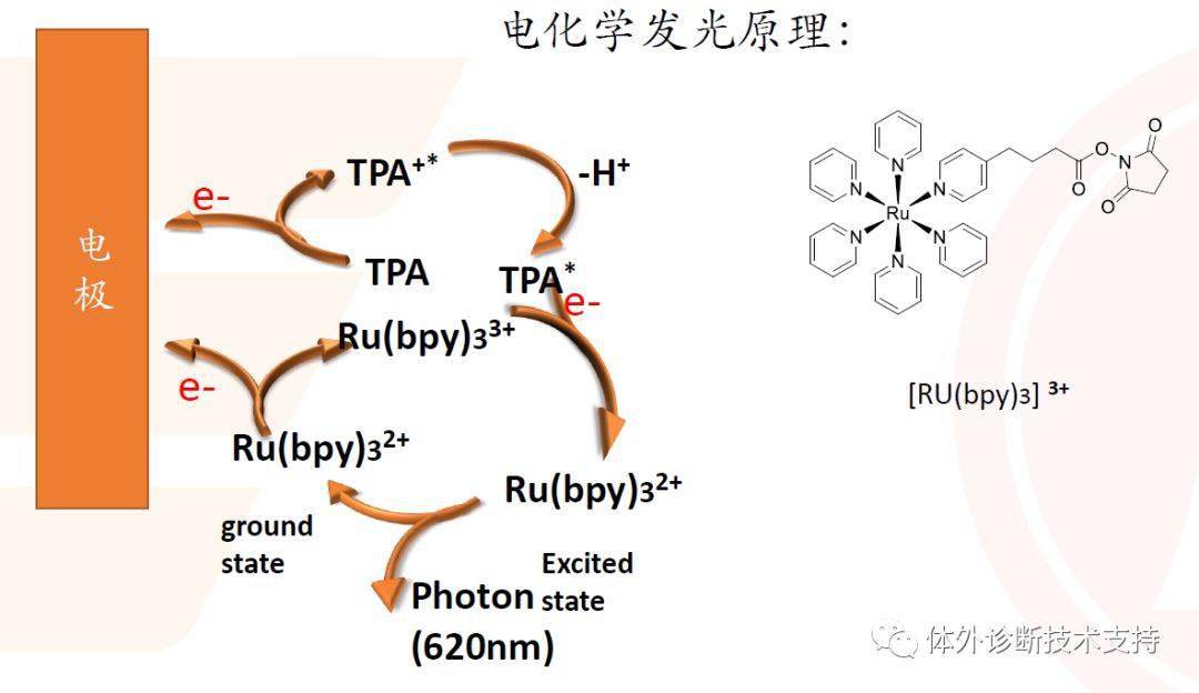 化学发光丨最具潜力的免疫学检测方法67