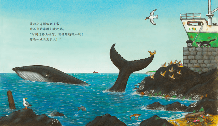 书单丨适合举办戏剧活动的绘本书单~(附活动建议)