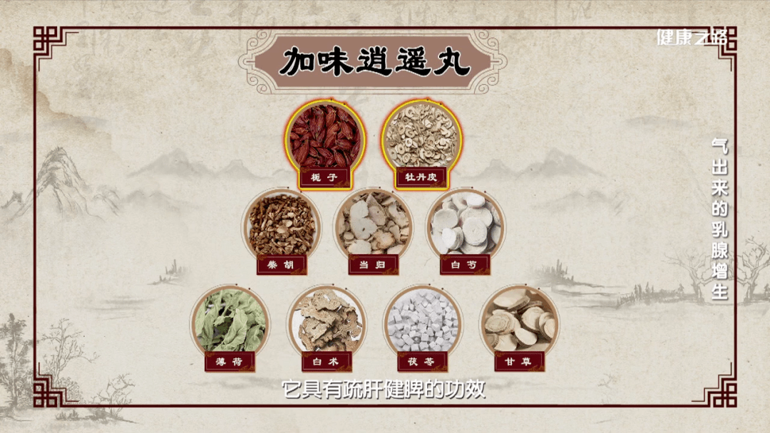 推荐中药——加味逍遥丸