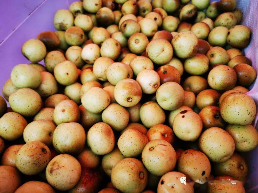 京山旅游特产这么多这些你都见过吗