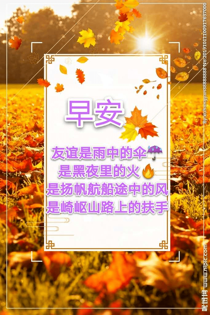 寒露早上好带字图片图片