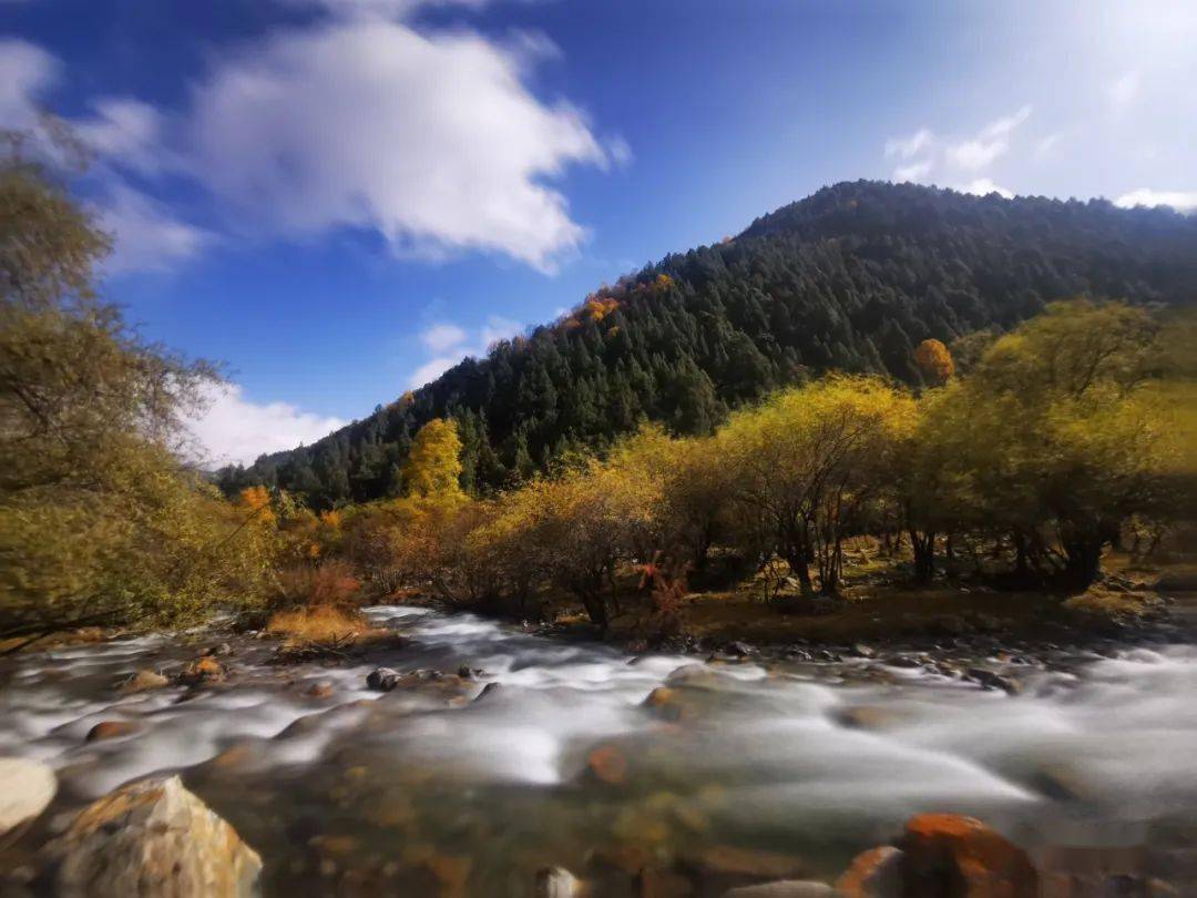 青海互助北山秋景看不夠67