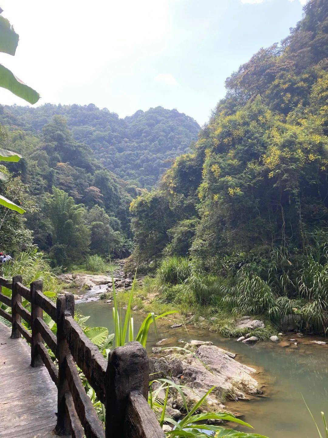 八鄉山