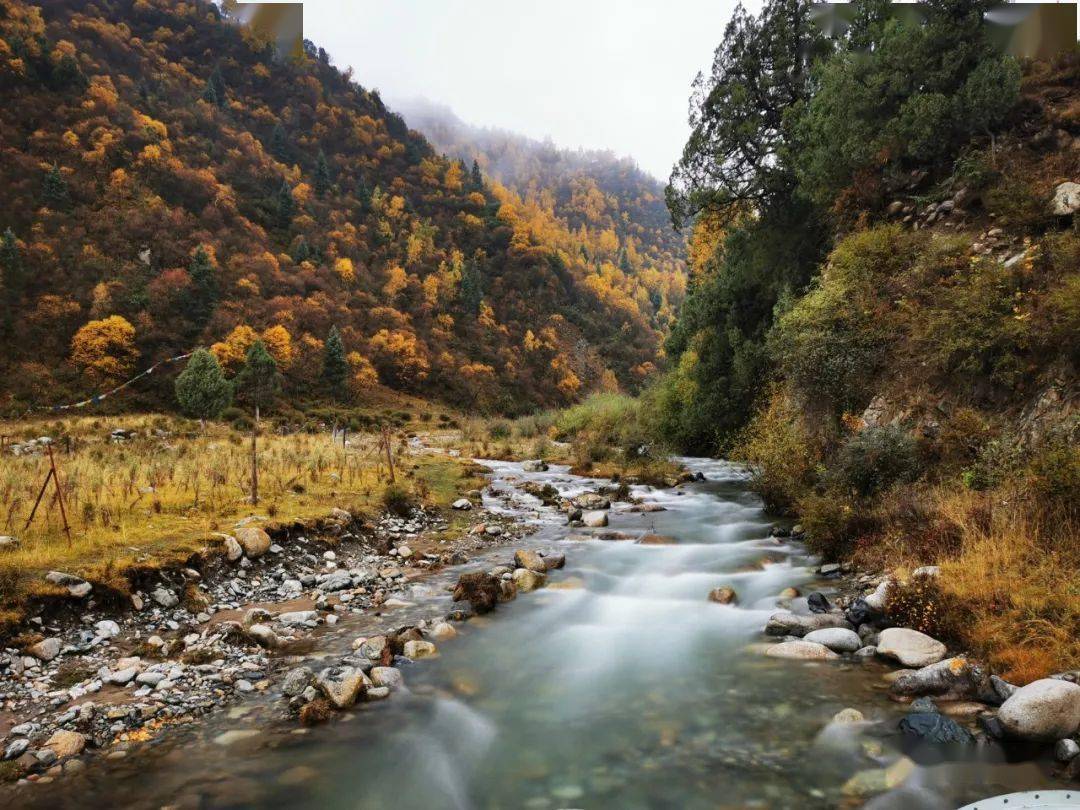 青海互助北山秋景看不夠67