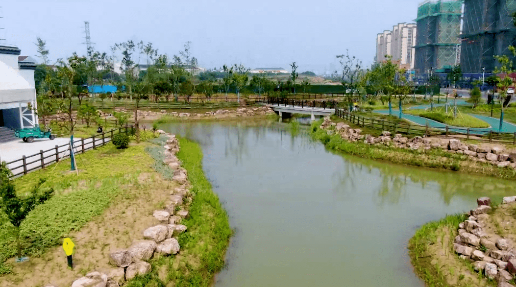 武进区生态河道展示⑦丨礼嘉镇张家河