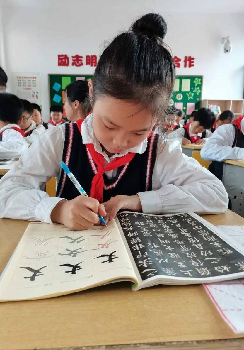 書法教育春風化雨小小新芽蓬勃向上