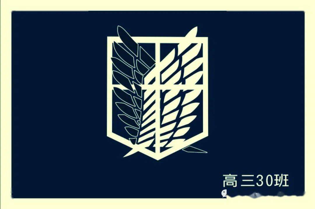 校运会班旗设计展,为中加学子的创意点赞吧