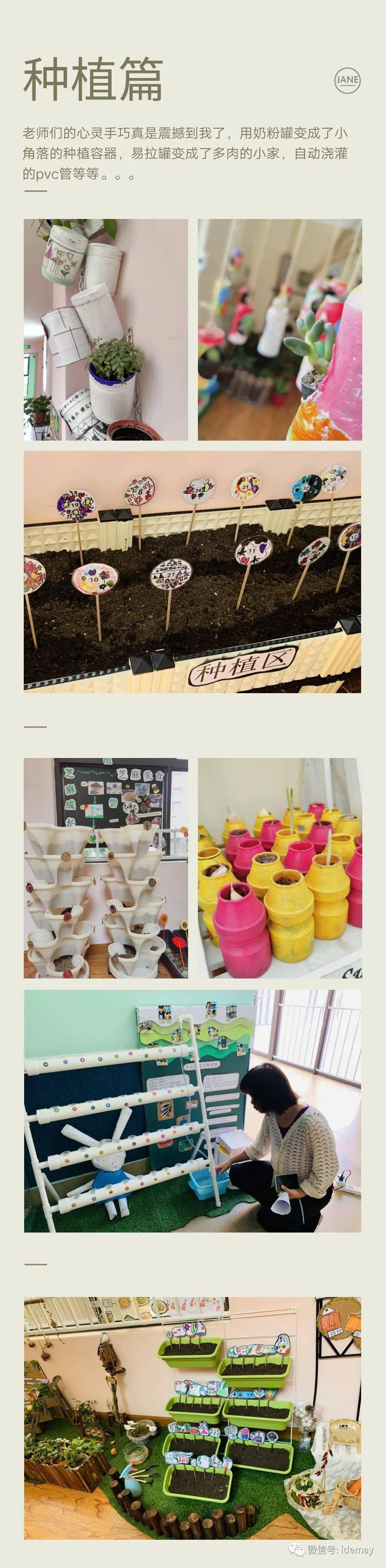 青青小角落悠悠大自然海德幼儿园自然角的别样精彩