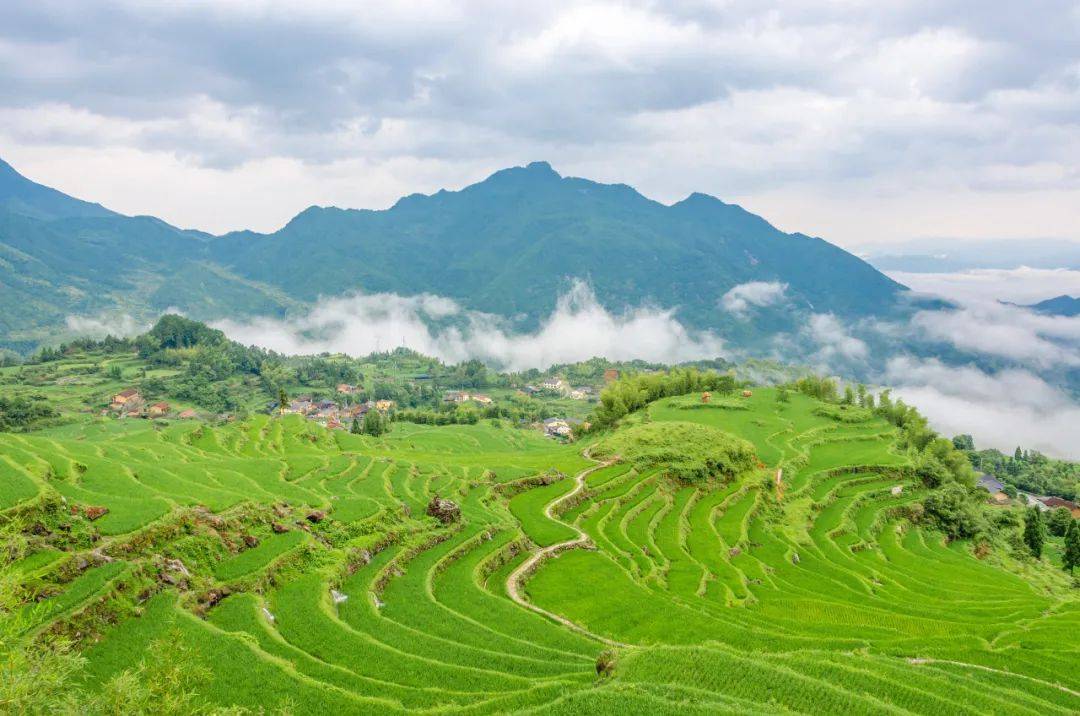 【秀山丽水】景宁畲乡民族风情赏《印象山哈》,游中国十大梯田:云和梯田,休闲纯玩两日游(17日发团)-搜狐大视野-搜狐新闻