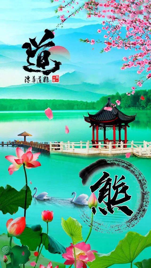 中老年头像大全映日荷花别样红唯美高清的荷花手机壁纸100张