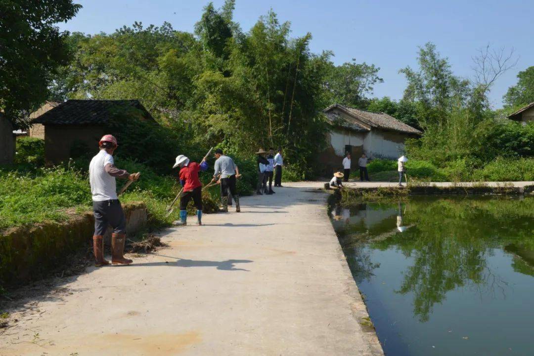 玉州区建设宜居环境助力乡村振兴