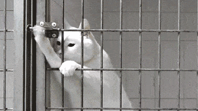 395_222gif 动态图 动图