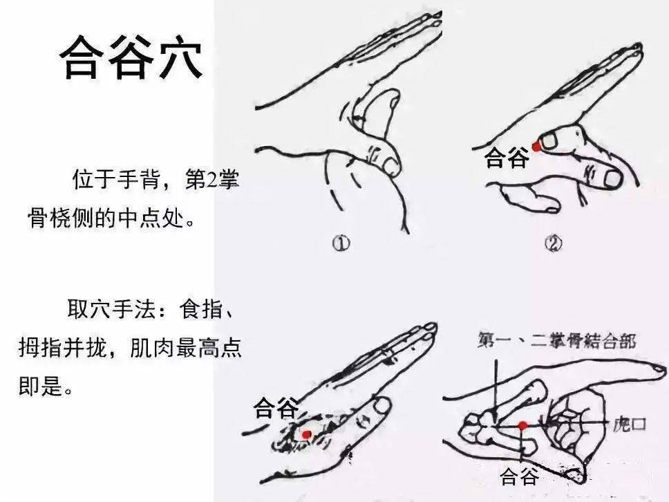 在全身数百个穴位中