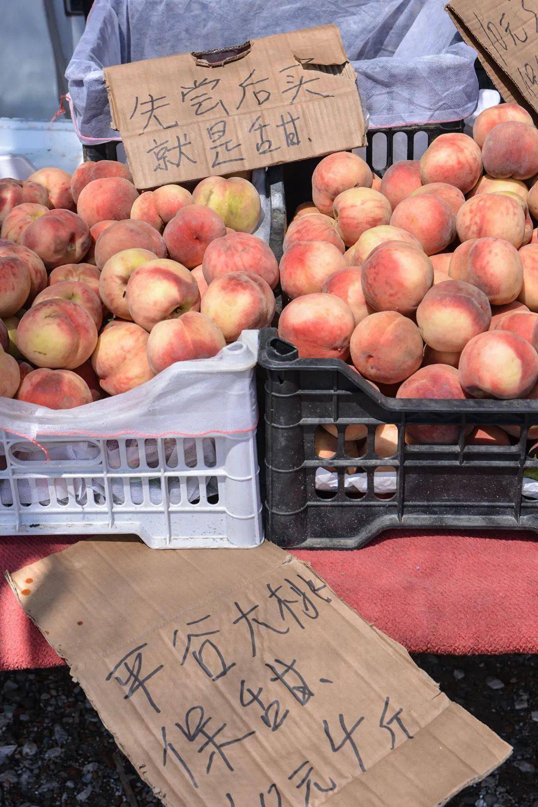 昌平这个大集每天都能逛蔬菜5块钱一堆三块钱一袋