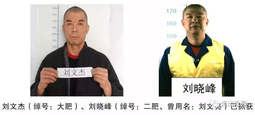 "黑老大"张立新,大肥,二肥,冯强