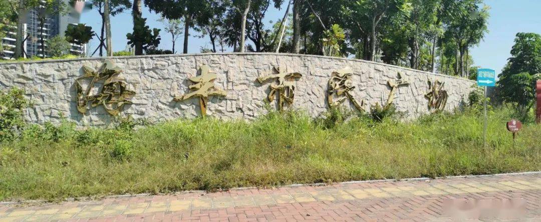 2020-10-11 19:54来源:海丰东门头