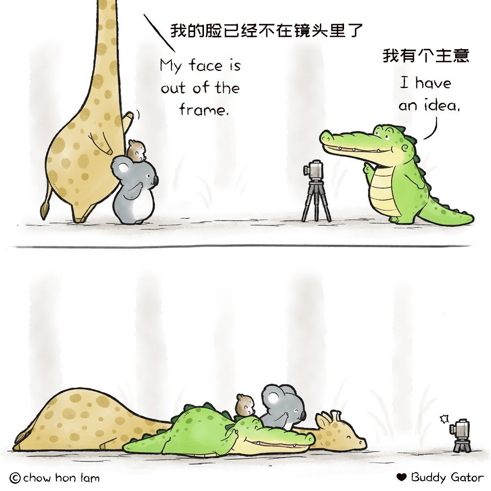 这只小鳄鱼能治愈你最近所有的不开心