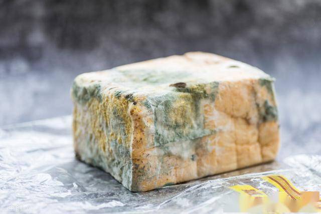 聚餐食物中毒4招快速辨别和预防黄曲霉毒