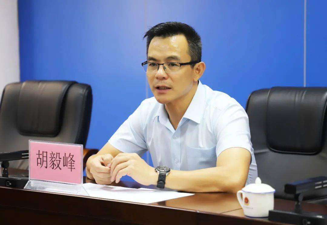谢岗镇委书记胡毅峰检查督导安保维稳工作_公安
