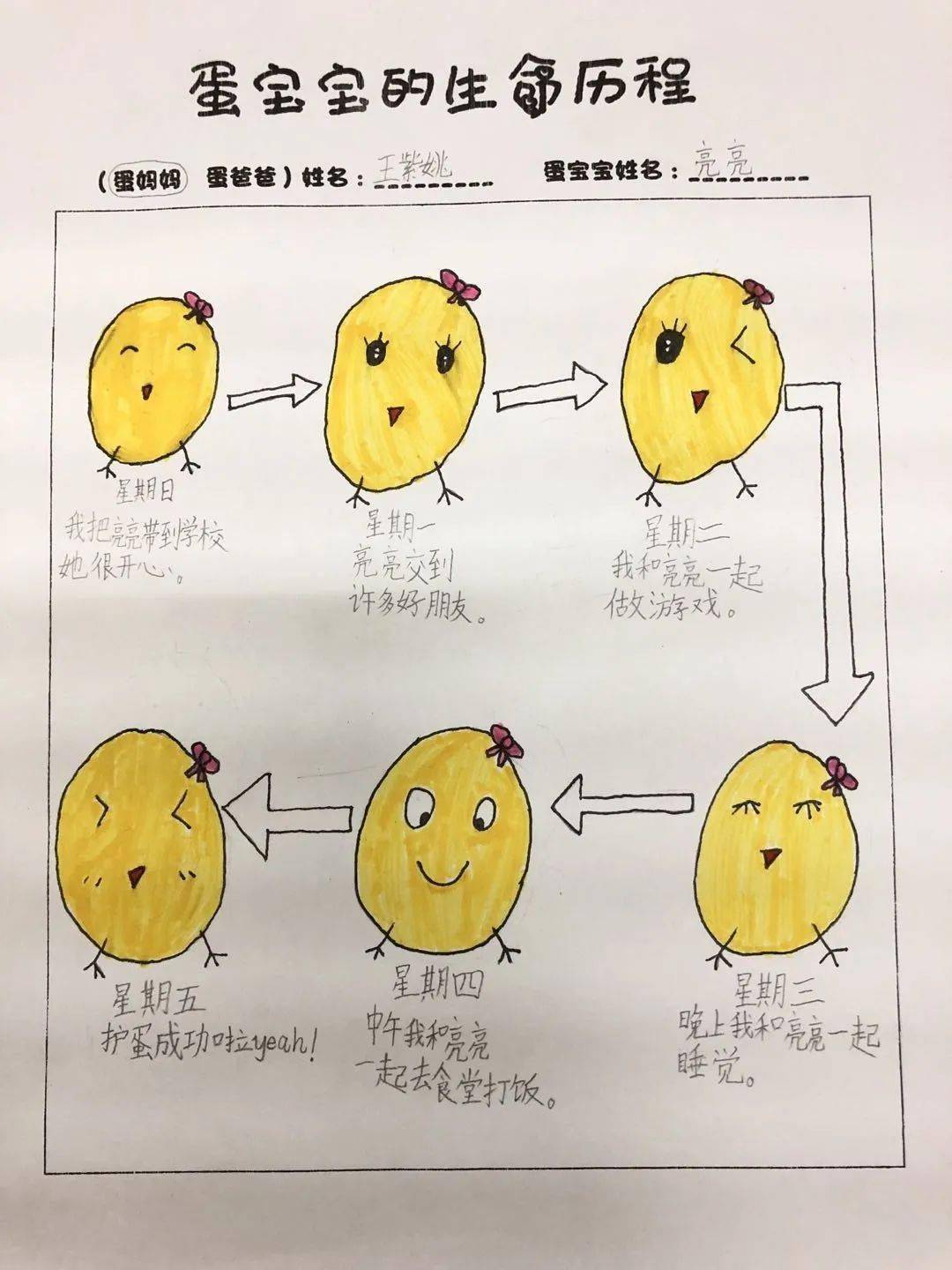 护蛋行动手抄报简单图片