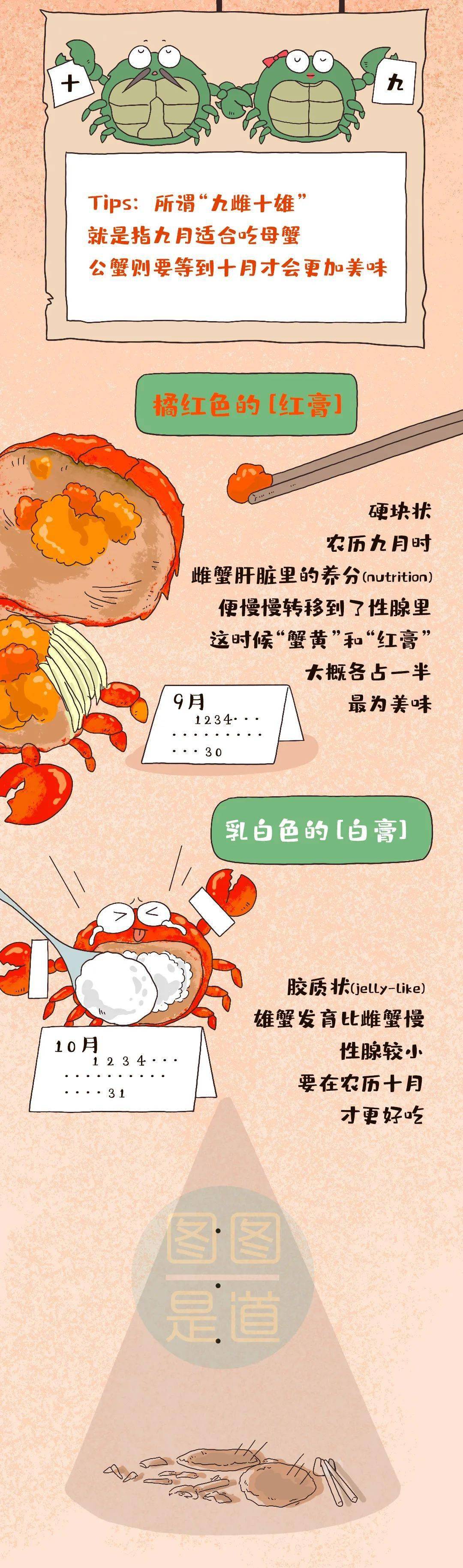 蟹黄到底是蟹的什么器官