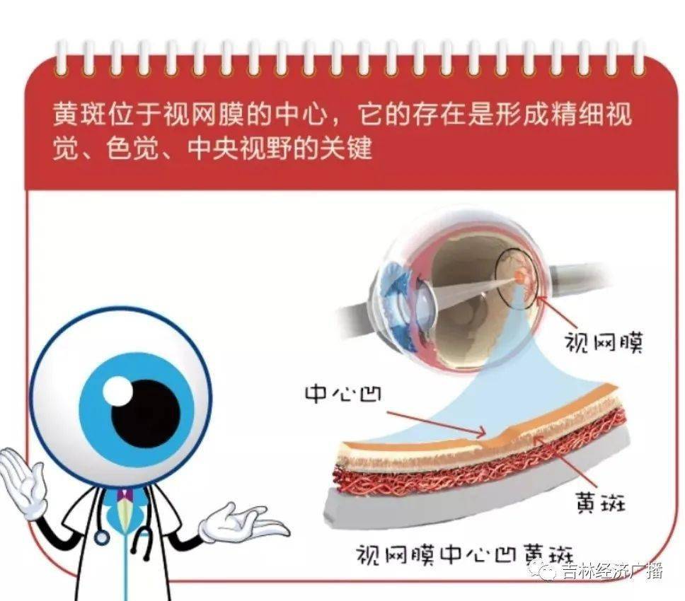 得了老年性黃斑病變就一定會失明嗎?_治療