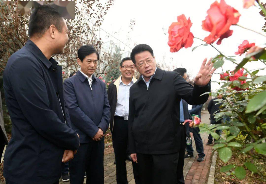 昨天,市委书记赴界首,实地调研督导这项工作!