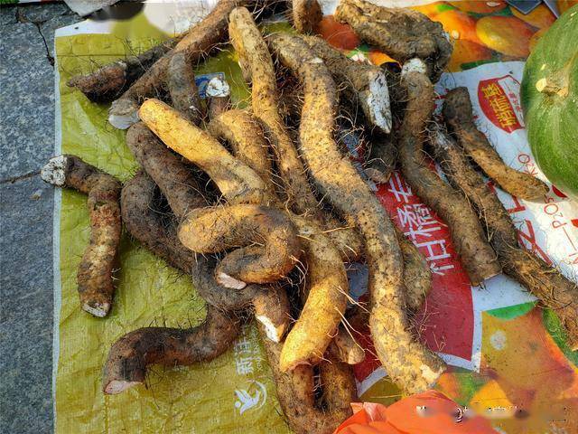 天一冷就馋这菜简单一煮鲜香绵糯好吃易吸收老人孩子都爱吃