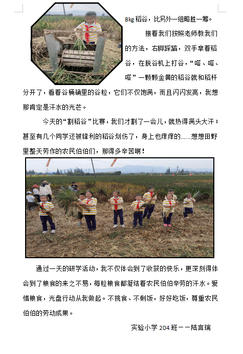 员梦想中队队员陈玥妍,金华森,陈馨语,申效怡,龚佳爱,沈奕冰,余浩天