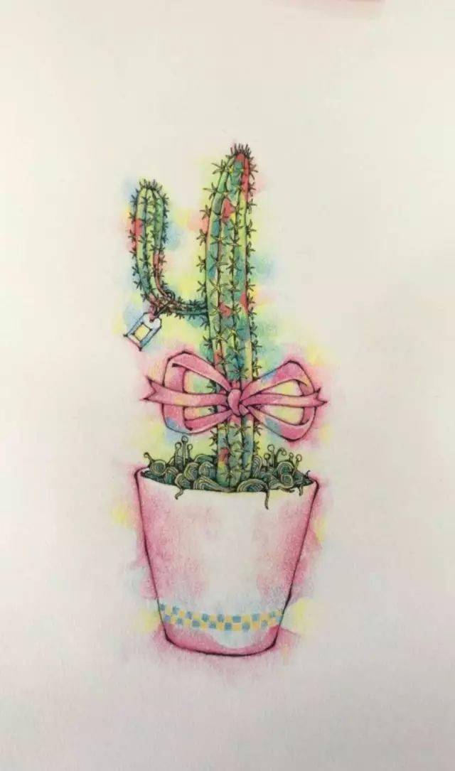 彩铅画教程彩铅仙人掌盆栽绘画步骤