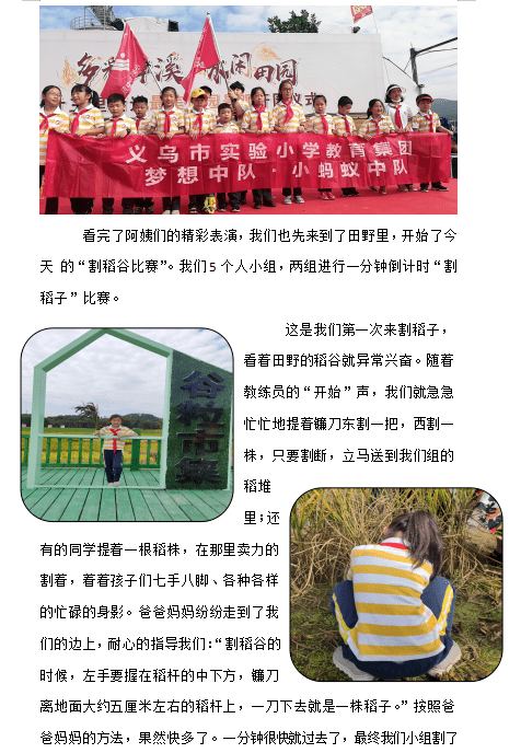 员梦想中队队员陈玥妍,金华森,陈馨语,申效怡,龚佳爱,沈奕冰,余浩天