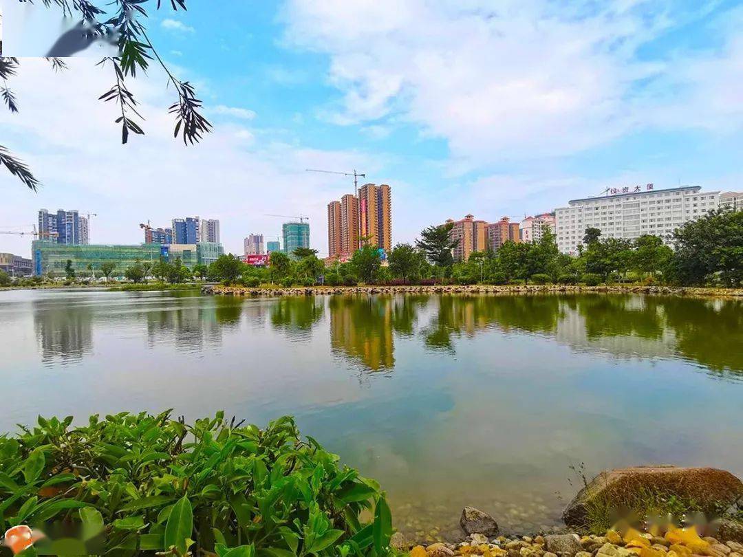 你发现没浦北金浦新区已变靓到快认不出了多图