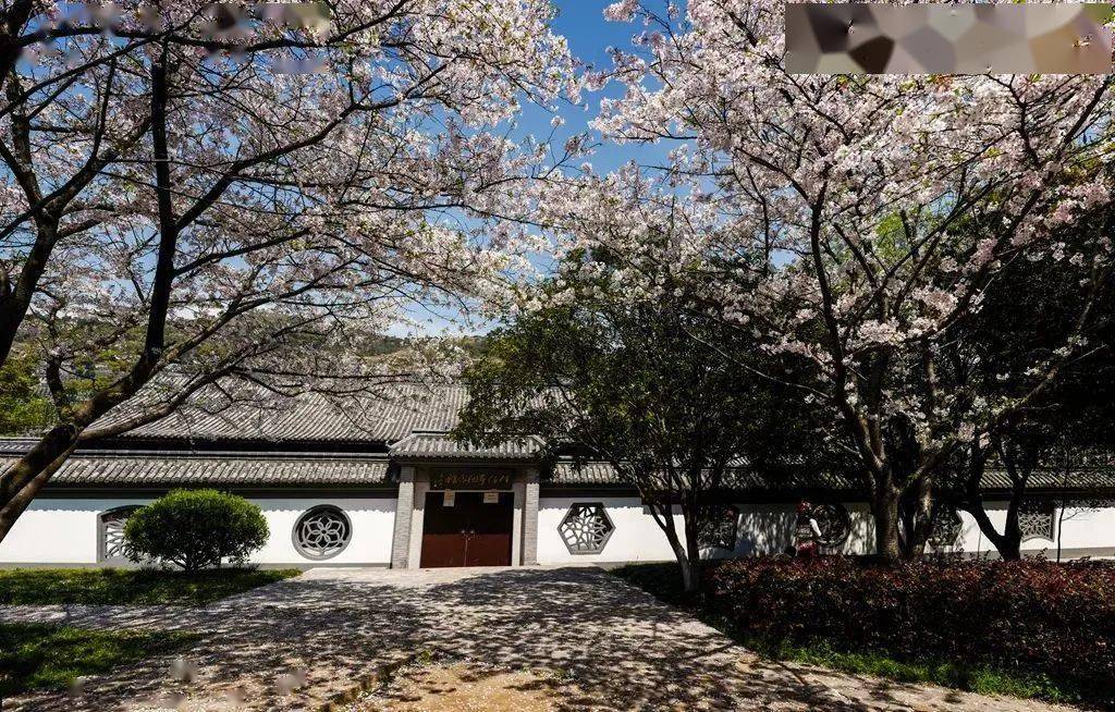 这样的瓜沥,你喜欢吗?