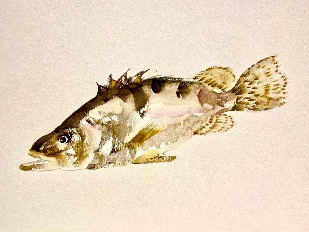 艺术家 | 许延平:一碟小菜