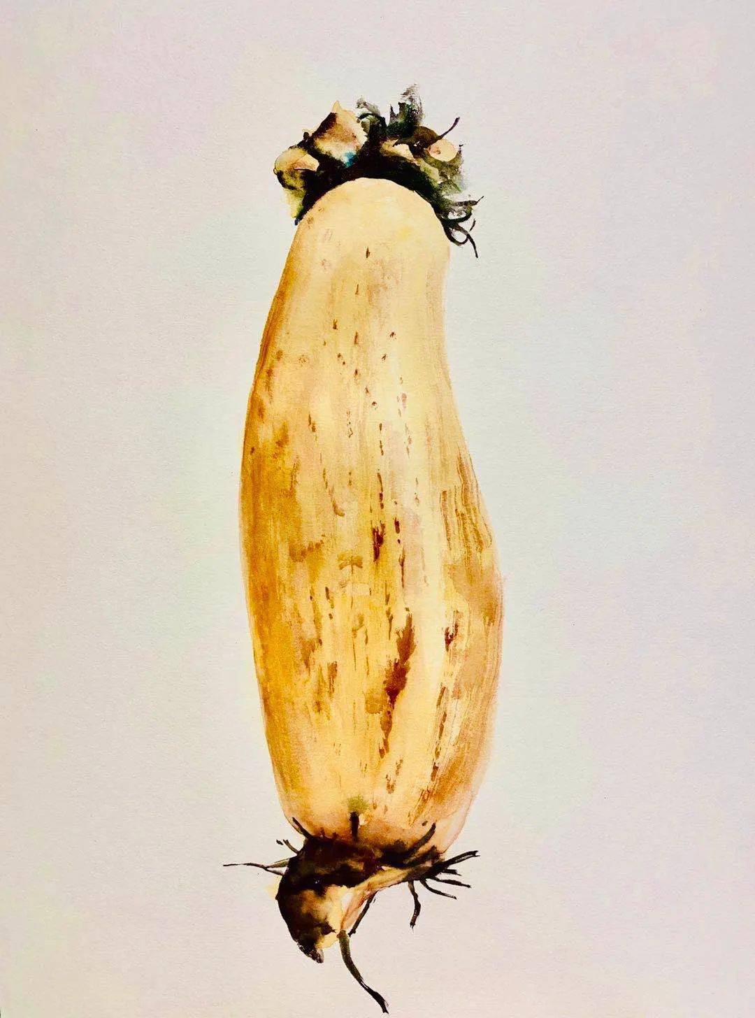 藕 纸本水彩30x40cm 202074许延平佛手 纸本水彩18x26cm 201974