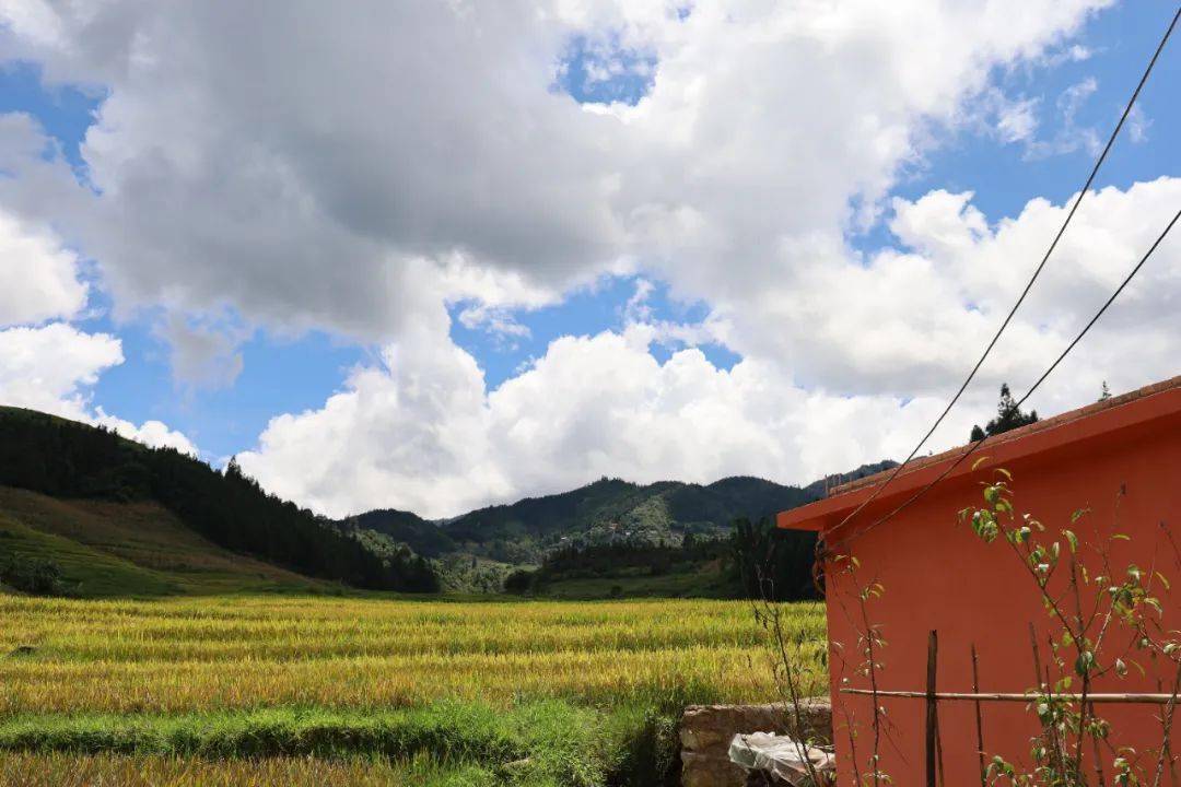 巩固脱贫成效聚焦乡村振兴大寨乡凝聚力量攻坚克难坚决打赢脱贫攻坚战