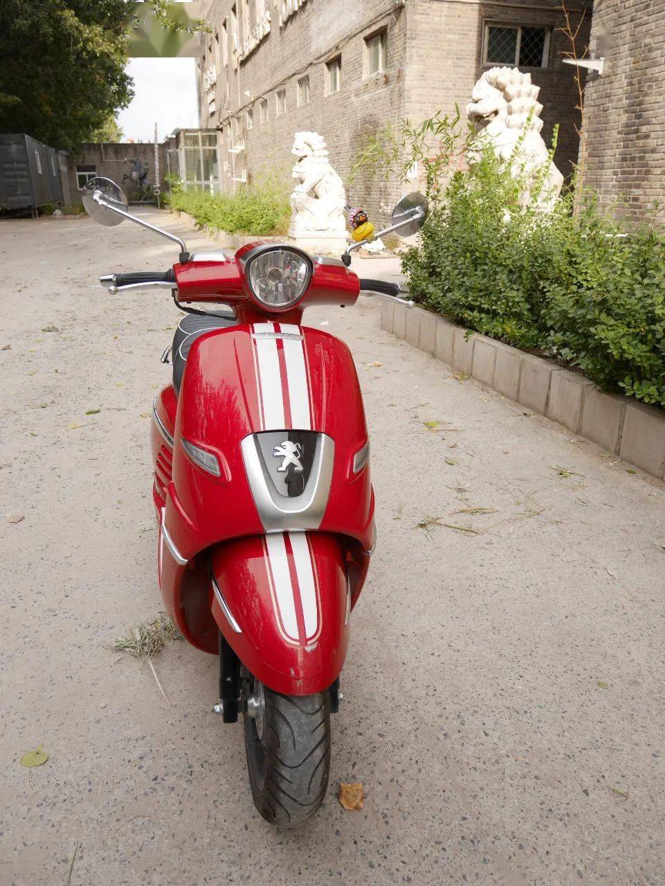 美女车主姜戈限量版让我超快乐