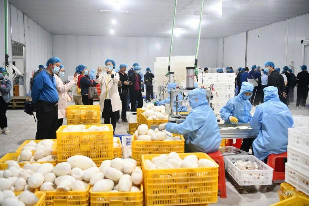 10月13日,调研组召开广西(桂林)2020年农产品仓储保鲜冷链设施项目