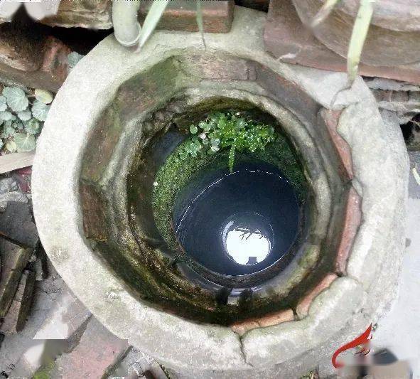 丹阳这些有上百年历史的古井如今成了这样