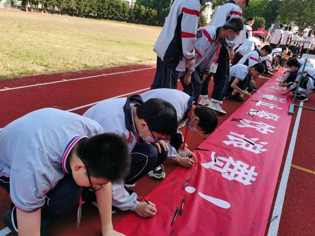 桐乡邵逸夫中学升桐高图片