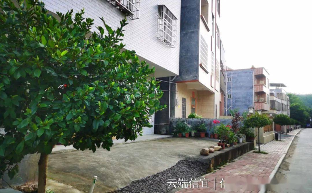 旺坑村干净整洁旺坑村,是丁堡旅游新晋网红村.