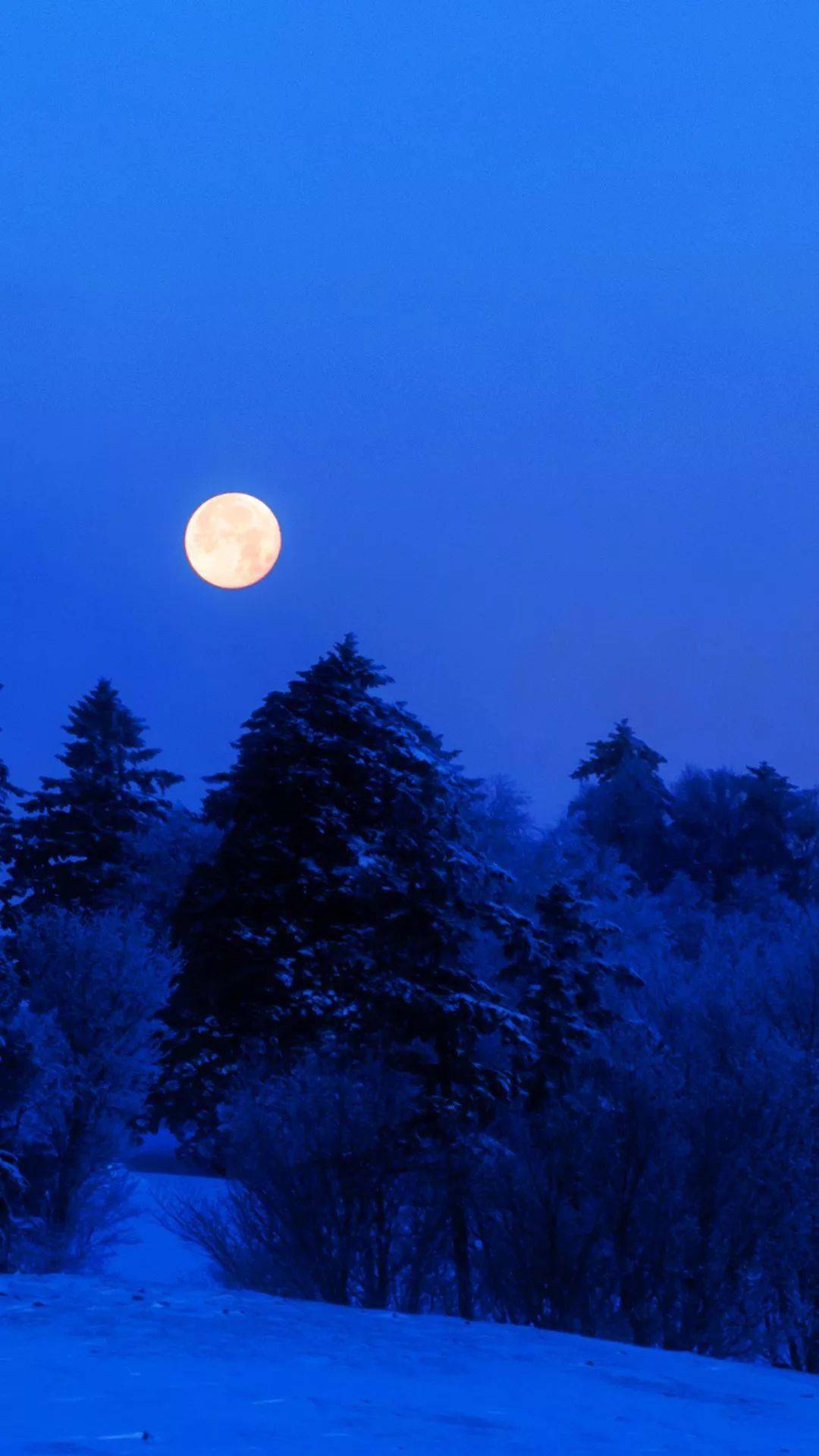 是天空的柔情.是海的浪漫蓝色之于大连,只要天一蓝,这里就成了风景画.