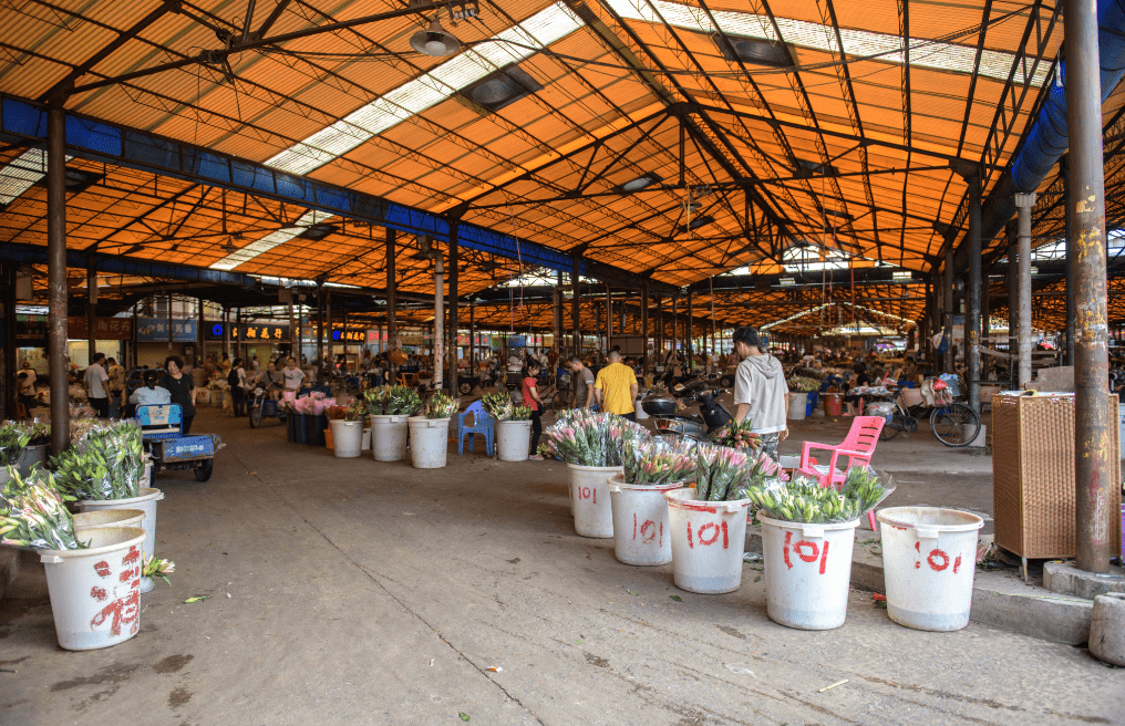 顺德陈村花卉市场图片