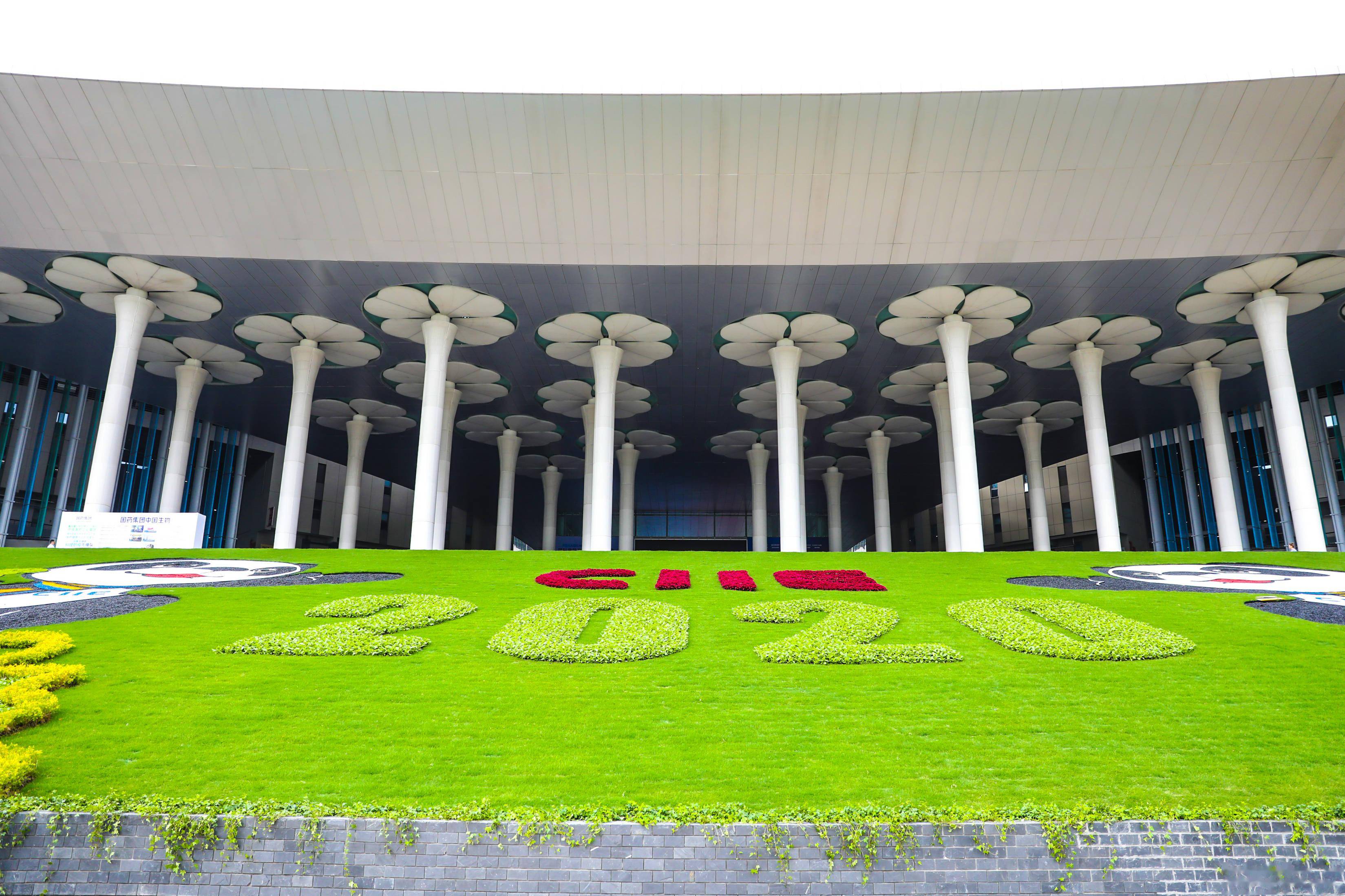 云山梯田花海百种花卉妆点四叶草第三届进博会巨型花坛渐露雏形